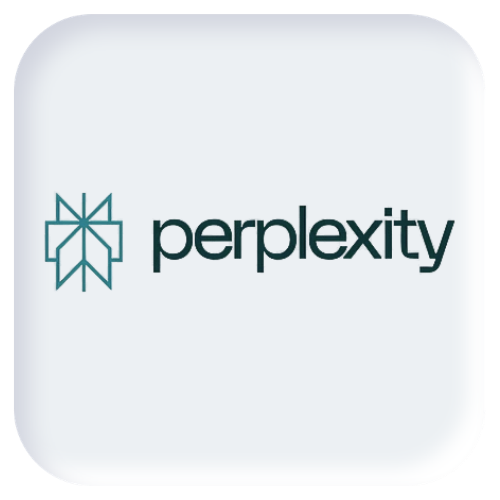 Perplexity